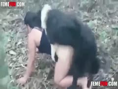 Horny slut fuck with her dog to a naughty walk in the forest